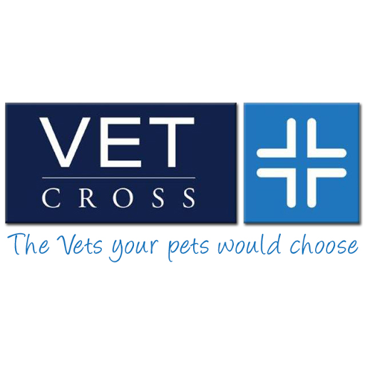 Vet Cross Bargara - Thumbnail
