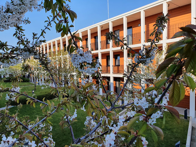 Dr. Kristine Emmanouil photo