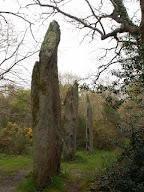 Pension canine et féline domaine des 3 menhirs à Plomeur