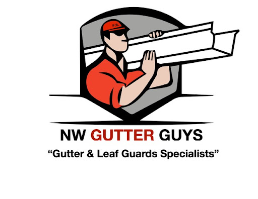 NW Gutter Guys - Visual