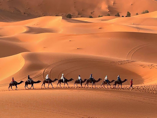 Excursion al desierto