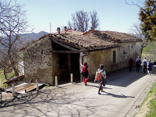 Collina - Visual