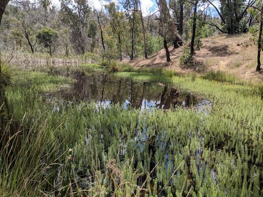 Blackhill Reserve Car Park Gallery - Australia