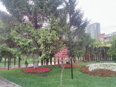 havuzlu park