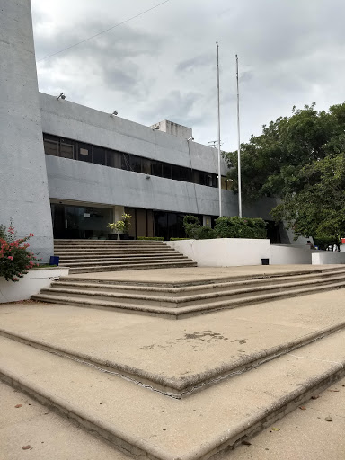 Universidad Autónoma de Chiapas Logo