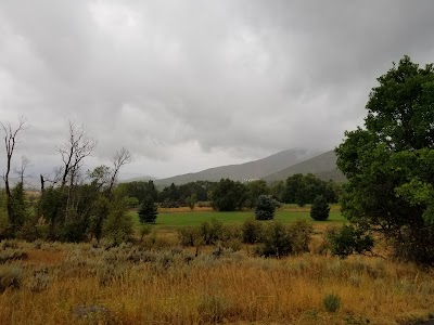 Pine Creek Campground Cottonwood Loop