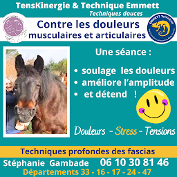 Photo n°15 de Stephanie GAMBADE Praticienne Animalier Cavignac Chevaux chiens chats etc à Cavignac (Praticien de médecine alternative)