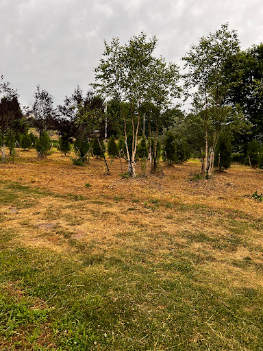 Otto's Park (XC) - Thumbnail