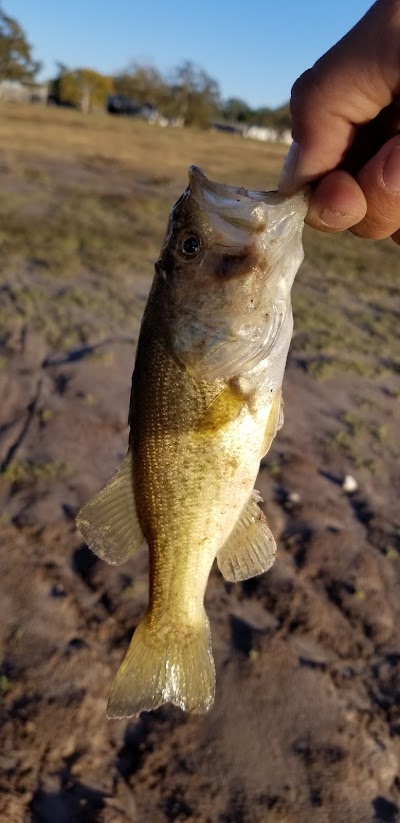 Lake Somerville Marina