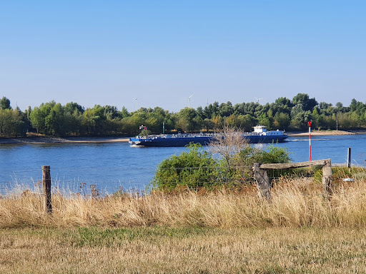 Rheinvorland im Orsoyer Rheinbogen - Thumbnail