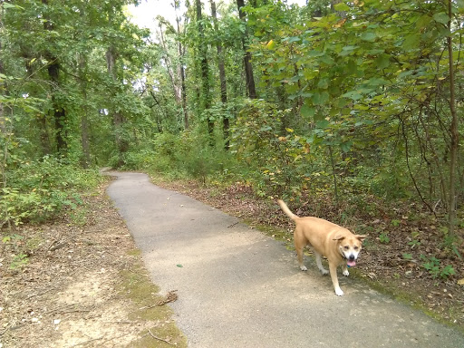 Bicentennial Conservation Area
