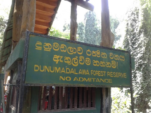 Dunumadalawa Forest Reserve, Author: Anil Vithanage