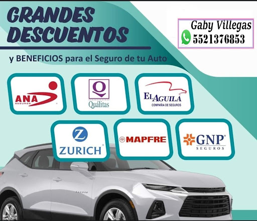 Asesor Gaby Villegas Seguros Auto y Vida - Thumbnail