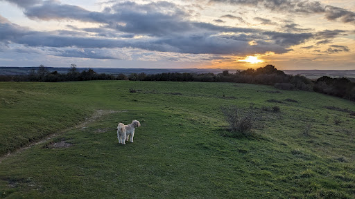 Stockbridge Down - Visual