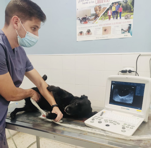 Centro Veterinario Ardila-Alcalá del Río