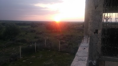 Photos of Maison Targhi