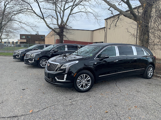 Specialty Hearse - Visual