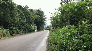 Marca Tingo María 2