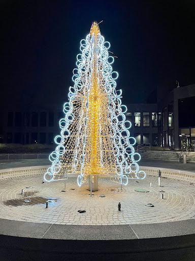 “NaperLights” Holiday Lights Display
