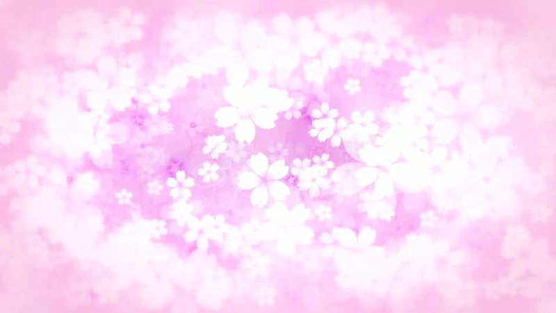 メガネのナガタ 長野若槻店