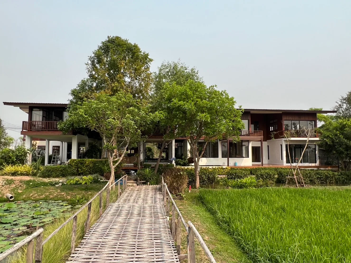 The Myth · Pensión · Chiang Mai, Tailandia