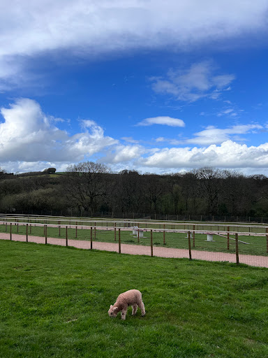 Occombe Farm - Thumbnail