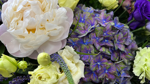 Webbs Flowers - Visual