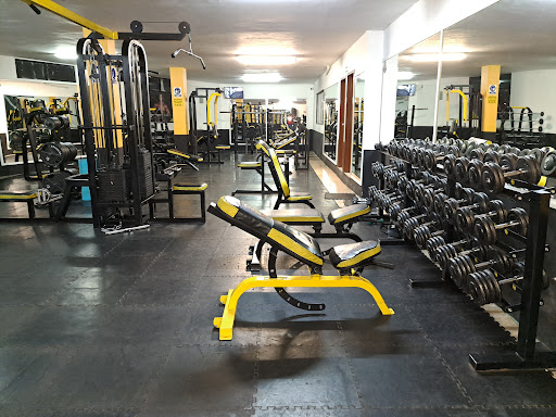The brothers gym Logo