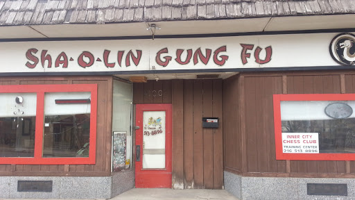 ShaolinTemple - Visual