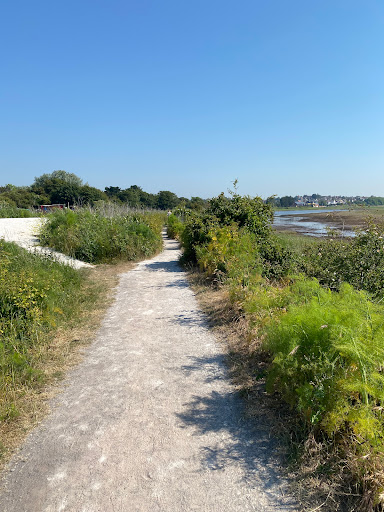 Pegwell Bay Country Park - Thumbnail