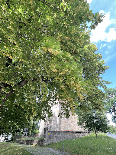 Königslinde - Visual