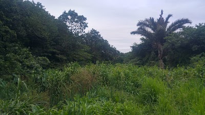 Photos of ETHEKWINI MUNICIPALITY-BIRD PARK