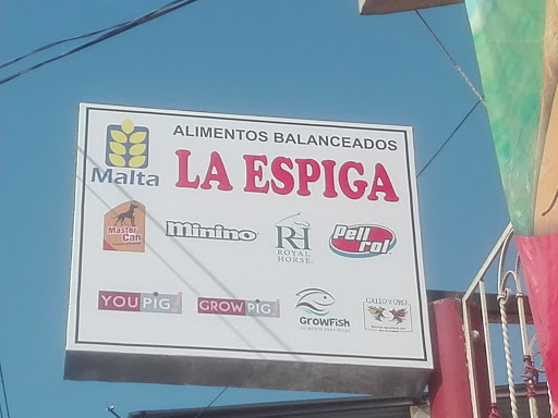 Alimentos Balanceado LA ESPIGA (MALTA CLEYTON) - Thumbnail