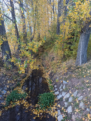 Pilgerweg - Thumbnail
