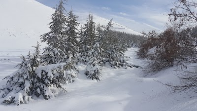 Yedikuyular Kayak Merkezi