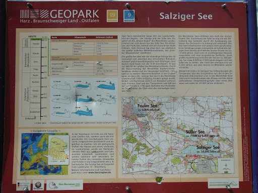 Salziger See Gallery - Germany