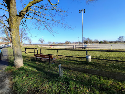 Eckwersheim's Equestrian Club - Thumbnail