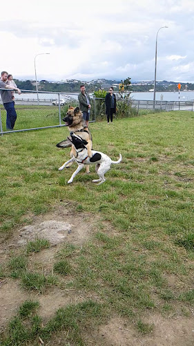 Reviews of Cog Park Dog Exercise Area in Wellington - Parking garage