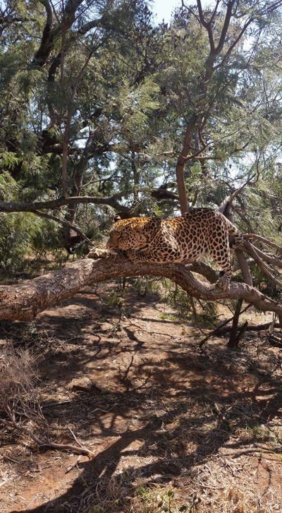 Photos of Kudus Rus