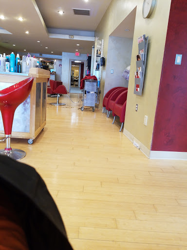 Compulsive Salon - Visual