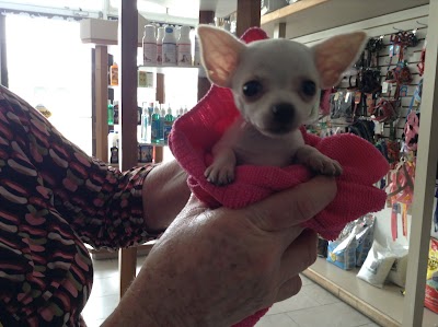 Photos of Pet Palace