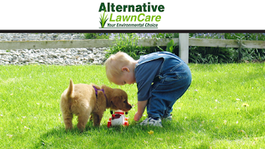 Alternative Lawn Care
