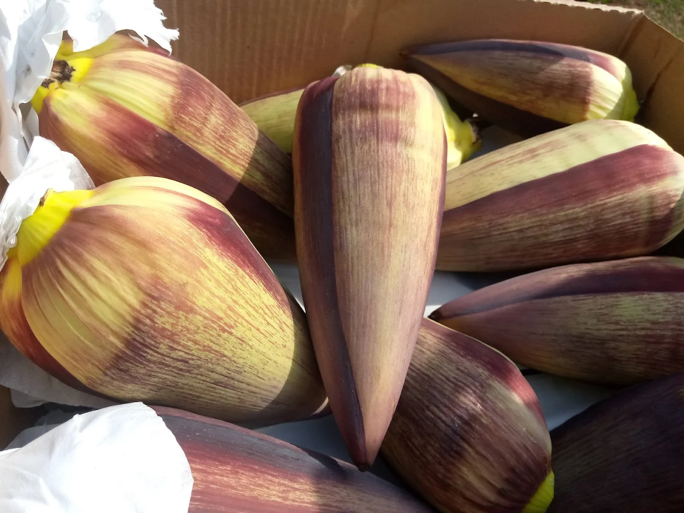 Fresh fruits veges Uganda 