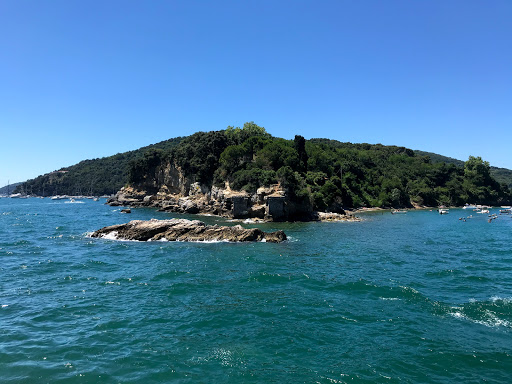Scola Tower - Visual