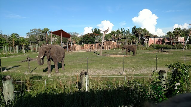 ZooTampa at Lowry Park