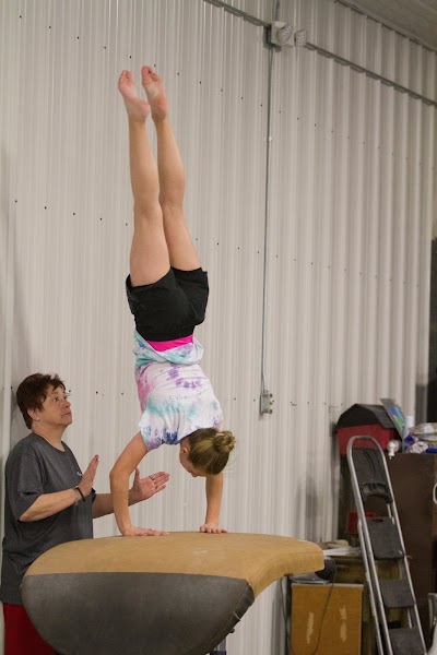 Aerial Gymnastics