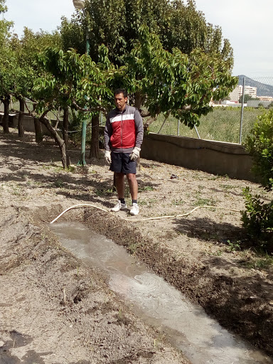 Vía Verde del chicharra (Las Virtudes - Villena - Biar)