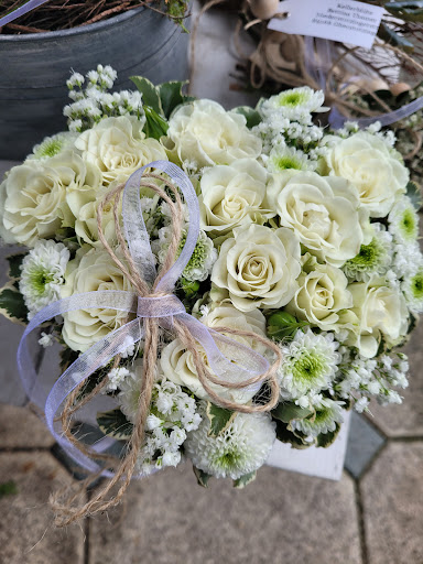 Kellerblüte - Visual