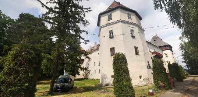Castelul Kemény