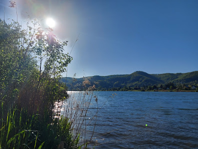 Umsetzanlage für Ruderboote,Altarm Greifenstein 3422 St. Andrä-Wördern, Österreich